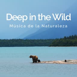 Deep in the Wild - Música de la Naturaleza