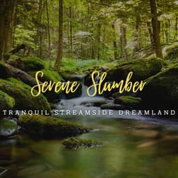 Stream's Serene Slumber: Nature's Sleepscape - Soothing Waterfalls