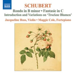 Schubert: Complete Works for Violin and Fortepiano, Vol. 2 - Franz Schubert