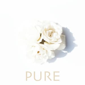 Pure - Study Music And Piano Music