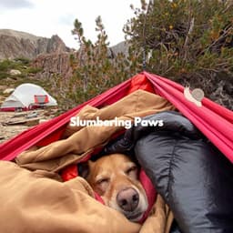 Slumbering Paws - Dog Relaxation Music