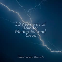 50 Moments of Rain for Meditation and Sleep - Rain Sound Studio