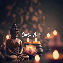 Metta - Chriss Aum