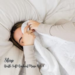 Sleep: Gentle Soft Ambient Music Vol. 1 - Relaxing Dog Music