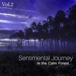 Sentimental Journey in the Calm Forest Vol.2 - Nature Collection
