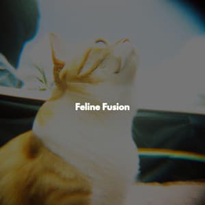 Feline Fusion - Coffee House Days