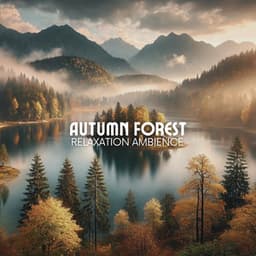Autumn Forest Relaxation Ambience - World of Singing Birds and Trees