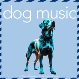 Dog Music - Winter Relaxation Collection for Dogs - Relaxmydog