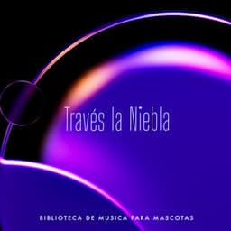 Través la Niebla - Biblioteca de Música Para Mascotas