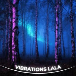 Moonlit Pines Mindfulness - Source Vibrations