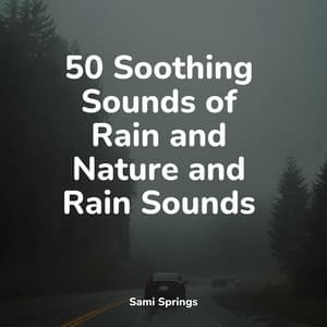 50 Soothing Sounds of Rain and Nature and Rain Sounds - Rain