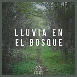 Lluvia en el Bosque - Lluvia Del Bosque