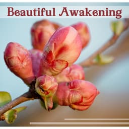 Beautiful Awakening: Relaxing Moments, Healing Meditation & Yoga Time, Stress Relief Music, Deep Massage - Healing Touch Zone