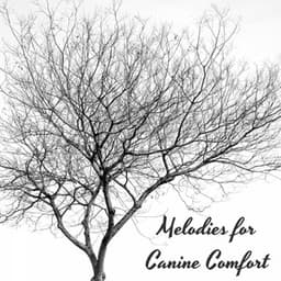 Piano Paws Serenade: Melodies for Canine Comfort - ADHD Music
