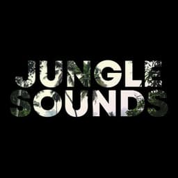 Jungle Sounds - Sounds Of Nature