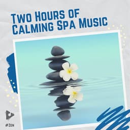 2 Hours of Calming Spa Music - #Zen