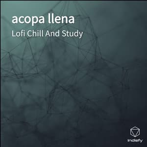 acopa llena - Lofi Chill and Study