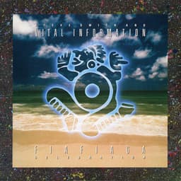 Fiafiaga - Steve Smith