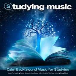 Studying Music: Calm Background Music for Studying, Music For Reading, Focus, Concentration, Stress Relief, Anxiety, Adhd and Relaxing Study Music - Studying Music