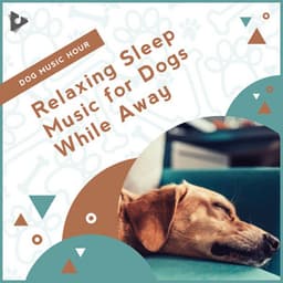 Relaxing Sleep Music for Dogs While Away - Dog Music Hour