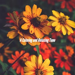 A Calming and Relaxing Tune - New York City Jazz Club