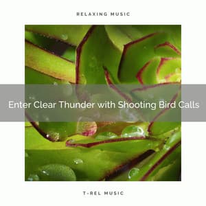 ! Enter Clear Thunder with Shooting Bird Calls - Deep Rain Sampling