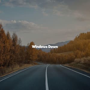 Windows Down - Jazz Café Bar