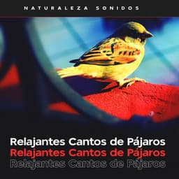Relajantes Cantos de Pájaros - Naturaleza Sonidos