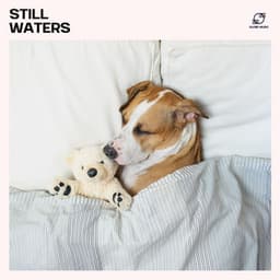 Still Waters - Sleep Music Academy