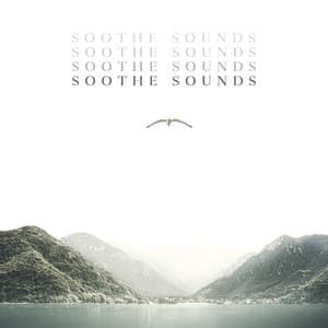 Soothe Sounds: Calmness, Music for Epilepsy Treatment, Pure Meditation - Healing Meditation Zone