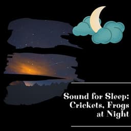 Sound for Sleep: Crickets, Frogs at Night - Night Sounds Channel