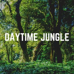 Daytime Jungle - Nature's Noise