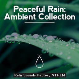 Peaceful Rain: Ambient Collection - Rain Sounds Factory STHLM