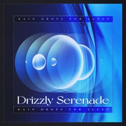 Drizzly Serenade - Rain Drops for Sleep