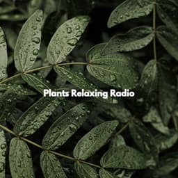 Plants Relaxing Radio - Música para Programar