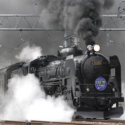 Train Sounds - Train Sounds