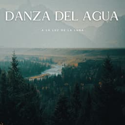 Danza Del Agua A La Luz De La Luna - Efectos de agua