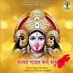 Mayer Payer Joba Hoye - Atanu Sanyal