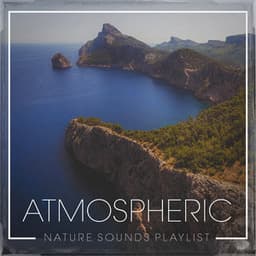 Atmospheric nature sounds playlist - Nature Sound Collection