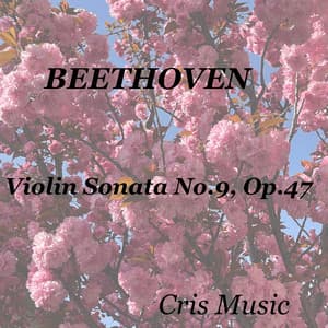 Beethoven: Violin Sonata No.9, Op. 47 - Jules Wolffers