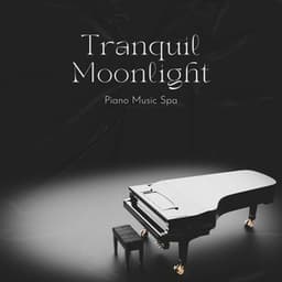 Tranquil Moonlight: Gentle Piano Music - Piano Music Spa