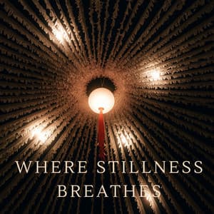 Where Stillness Breathes - Nikitovich