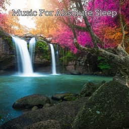 Calm Mind Sleep Therapy Collection - Music For Absolute Sleep