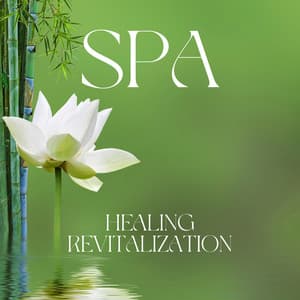 Spa Healing Revitalization: Pure Spa Music, Wellness Oasis - Therapy Spa Music Paradise