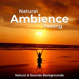 Natural Ambience Feeling - Nature Sounds & Backgrounds