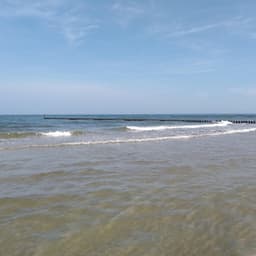 Easy Sunny Day - Jazzy Coffee