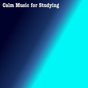 Calm Music for Studying - Calm Music for Studying