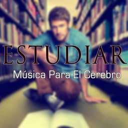 Música Clásica Para El Estudio Y Relajación - Música Para El Cerebro - Musica Para Estudiar Academy