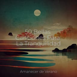 50 Bellas Canciones Para La Tranquilidad - Música Para Meditar y Relajarse