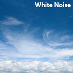 White Noise - Black Noise Loops